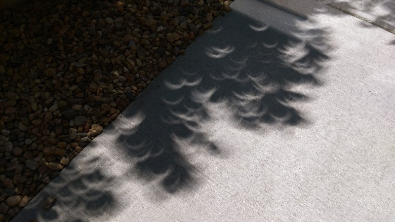 2017 Solar Eclipse, PC: KSB