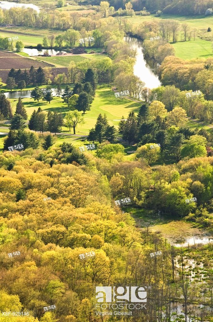 Stock photo of Avon, CT featuring numerous types of trees in harmony