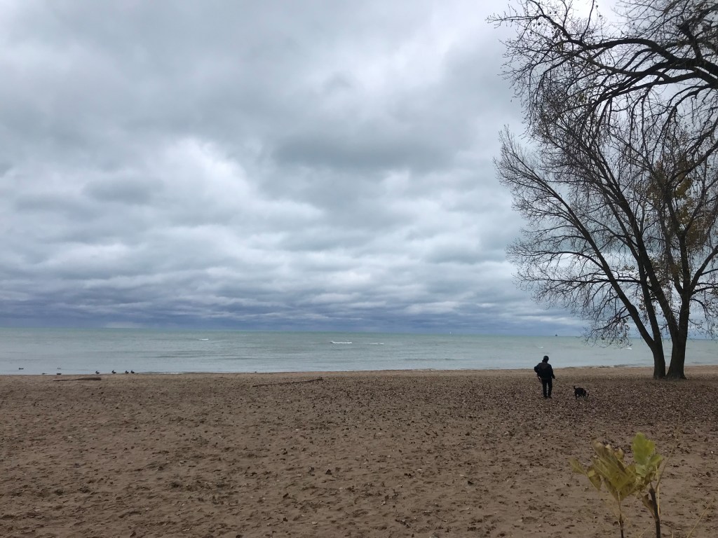 Low lying clouds fill the sky. A thin strip of cornflower blue is visible on the horizon beneath them, over a seafoam green Lake Michigan. The sand itself is dotted with leaves. A handful of birds sit by the water's edge on the left, and a person walks their dog by some trees on the right. It is overcast yet beautiful.